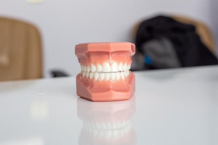 photo 1620775997990 ee3c25938b4ccropentropycstinysrgbfitmaxfmjpgixidMnwxNDA1NTd8MHwxfHNlYXJjaHw5fHxkZW50aXN0JTIwc3RvbWFsb2dpc3R8ZW58MXwwfHx8MTY2NDI4MTU0NAixlibrb 1.2.1q80w1080 photo 1620775997990 ee3c25938b4ccropentropycstinysrgbfitmaxfmjpgixidMnwxNDA1NTd8MHwxfHNlYXJjaHw5fHxkZW50aXN0JTIwc3RvbWFsb2dpc3R8ZW58MXwwfHx8MTY2NDI4MTU0NAixlibrb 1.2.1q80w1080