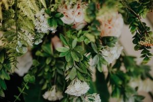 photo 1705738482774 64b5dcc629b5cropentropycstinysrgbfitmaxfmjpgixidM3wxNDA1NTd8MHwxfHNlYXJjaHw0OXx8Z3JlZW4lMjB3YWxsJTIwcGxhbnRzfGVufDF8MHx8fDE3NDM5MjYwMDN8MAixlibrb 4.0.3q80w1080